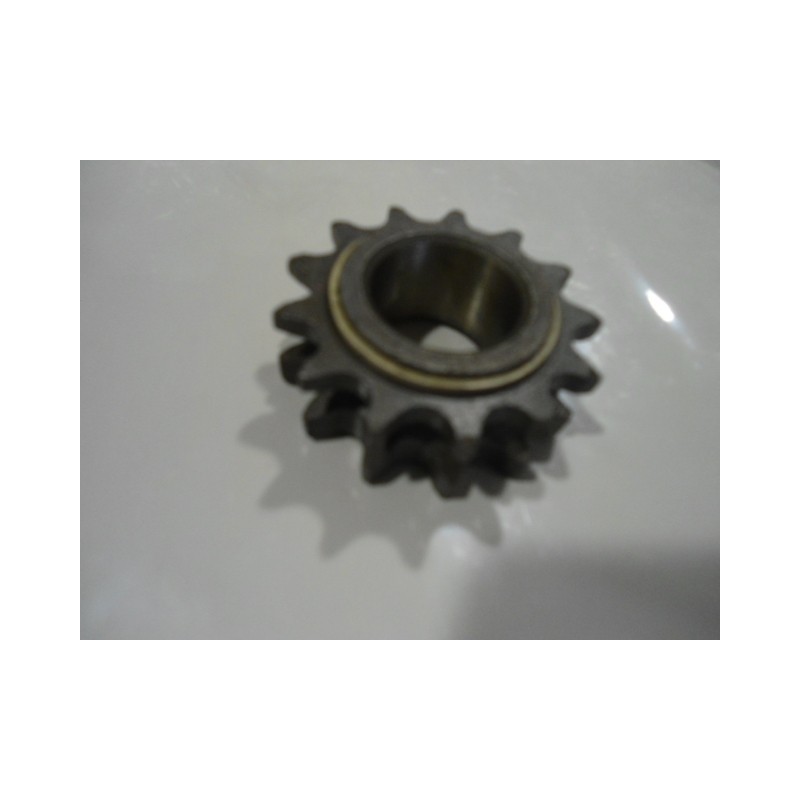 PIGNAO ATTAQUE 11-12-13 DENTES